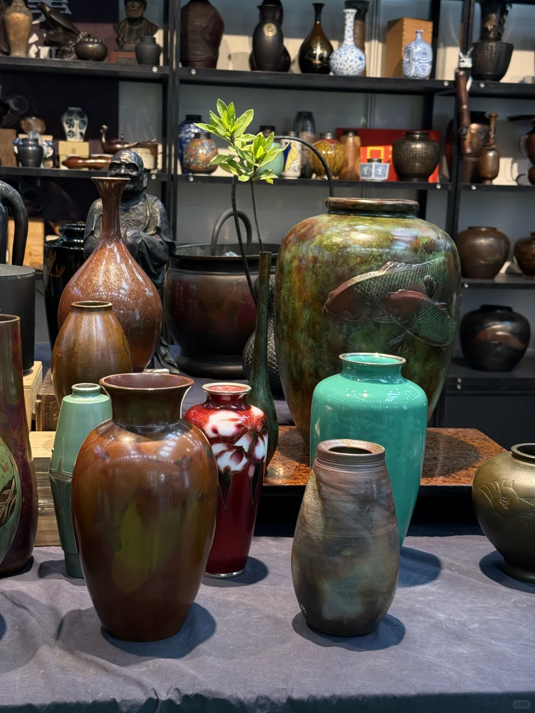 原来深圳茶博会不仅仅有茶！！！