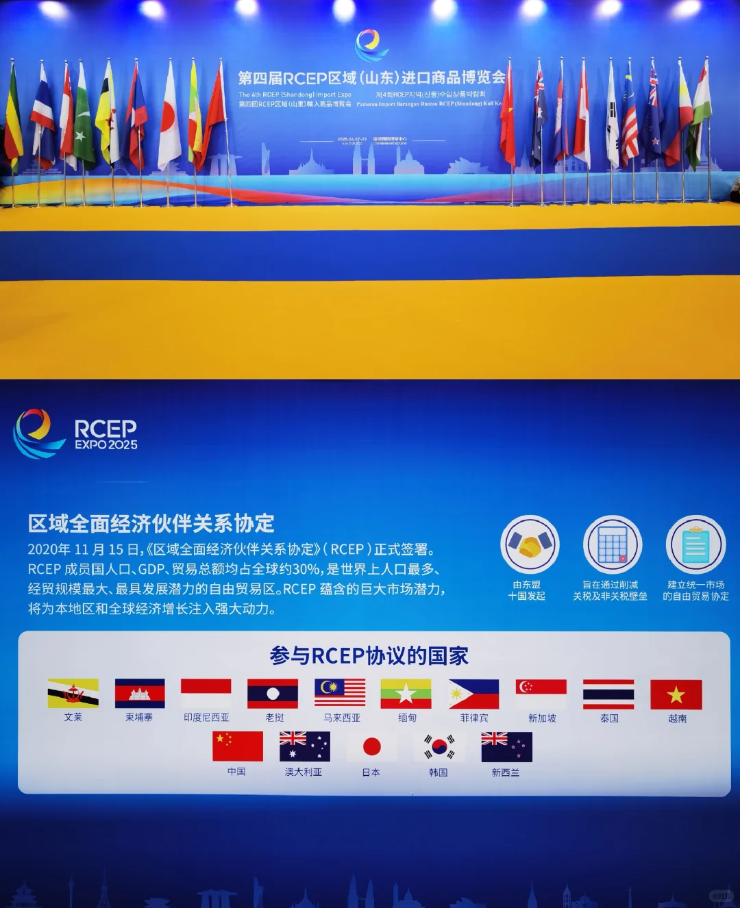 E路出海·共链全球｜RCEP区域（山东）进博会