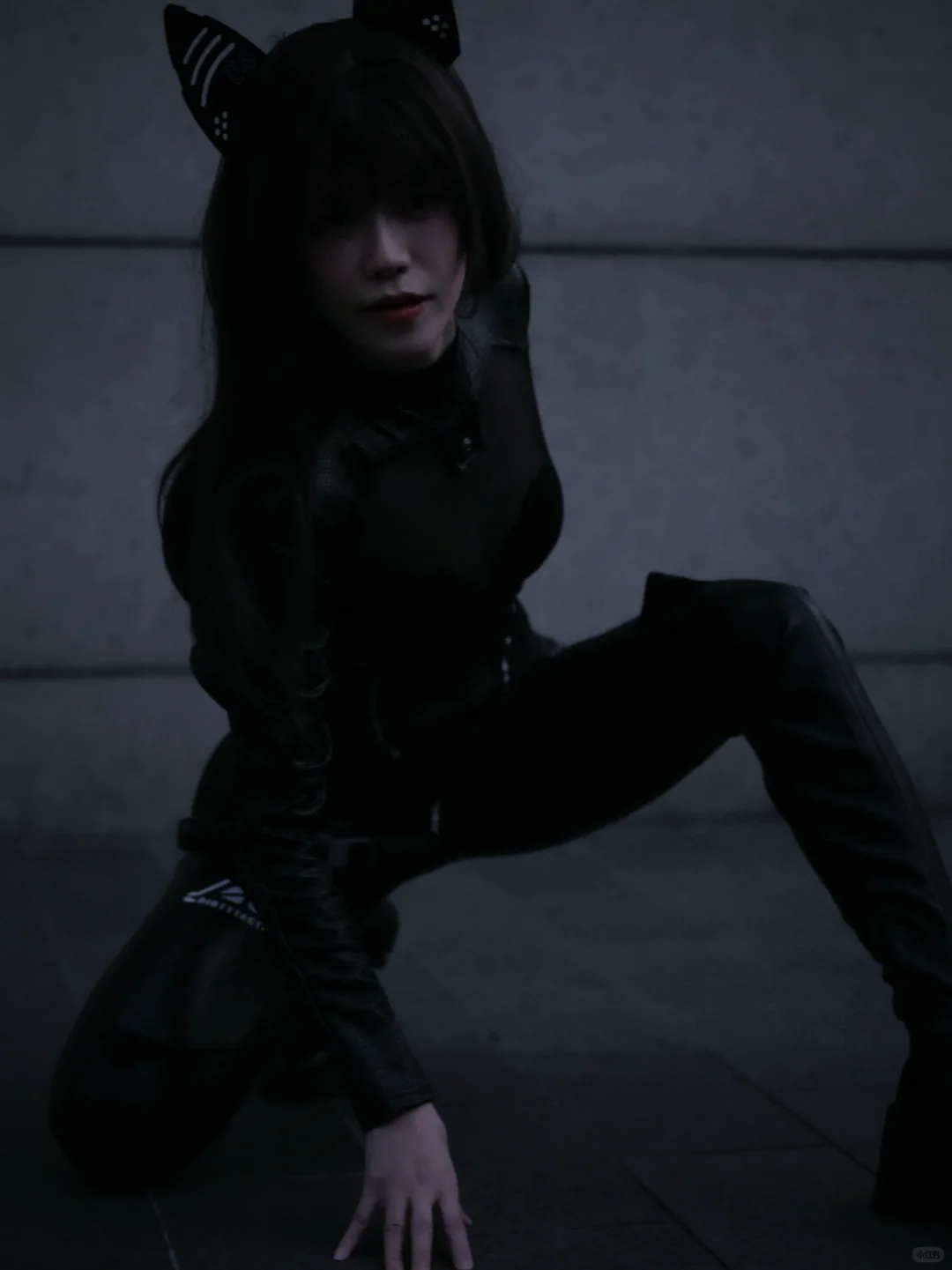 啊啊啊她好酷！小猫猫～