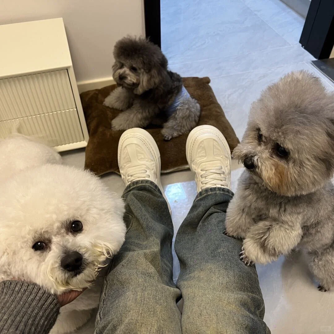 小红书团购来啦