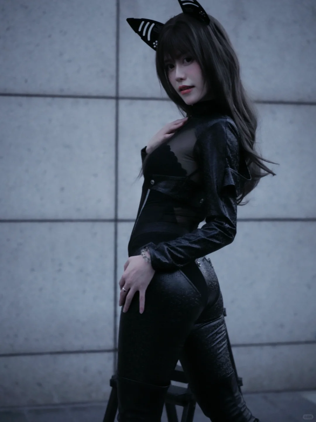 啊啊啊她好酷！小猫猫～