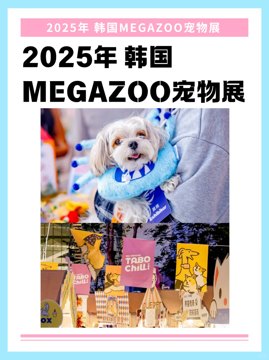 2025韩国宠物展会