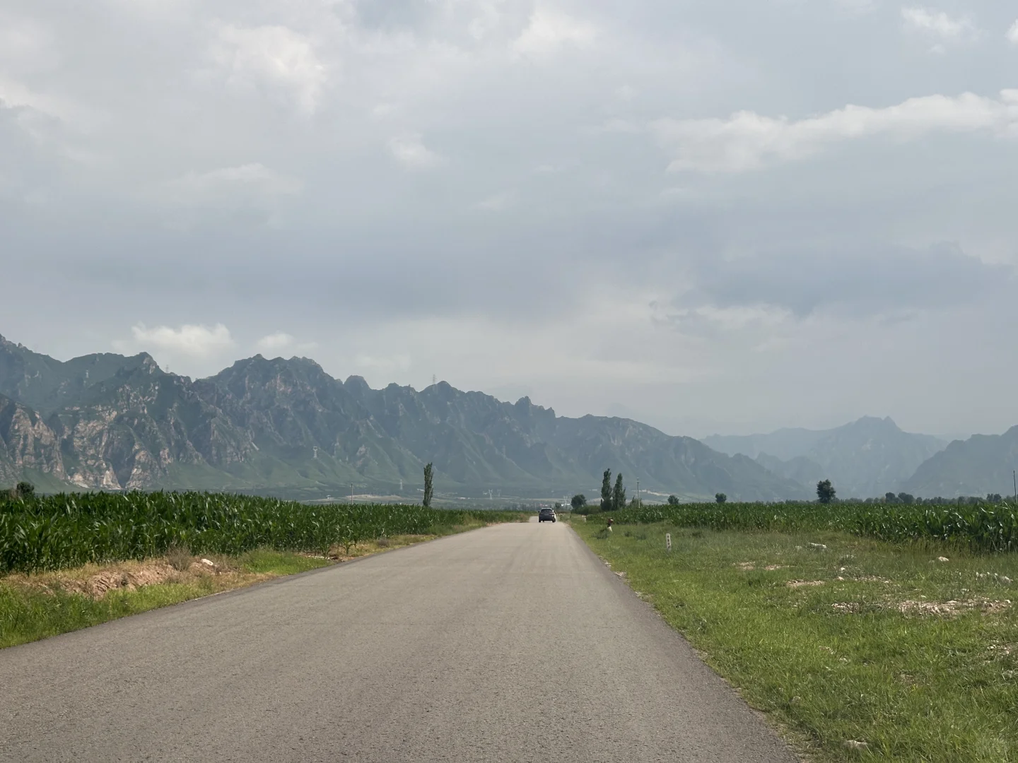 抵抗抑郁的第21天