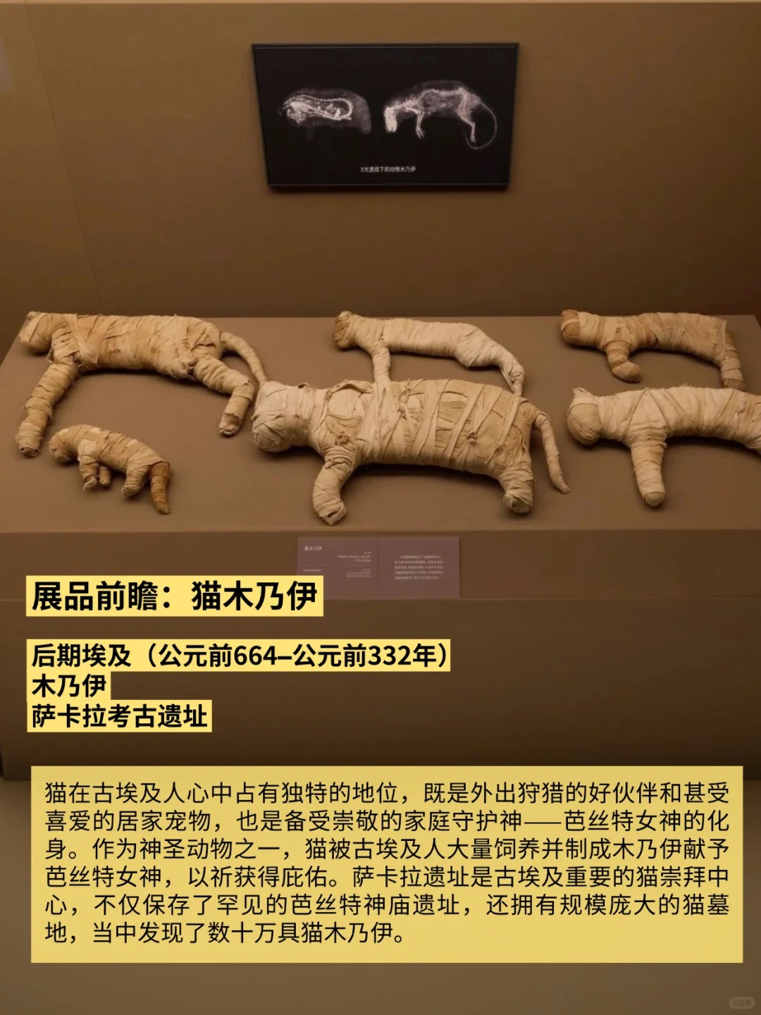 香港故宫11月20日举办古埃及文明大展！