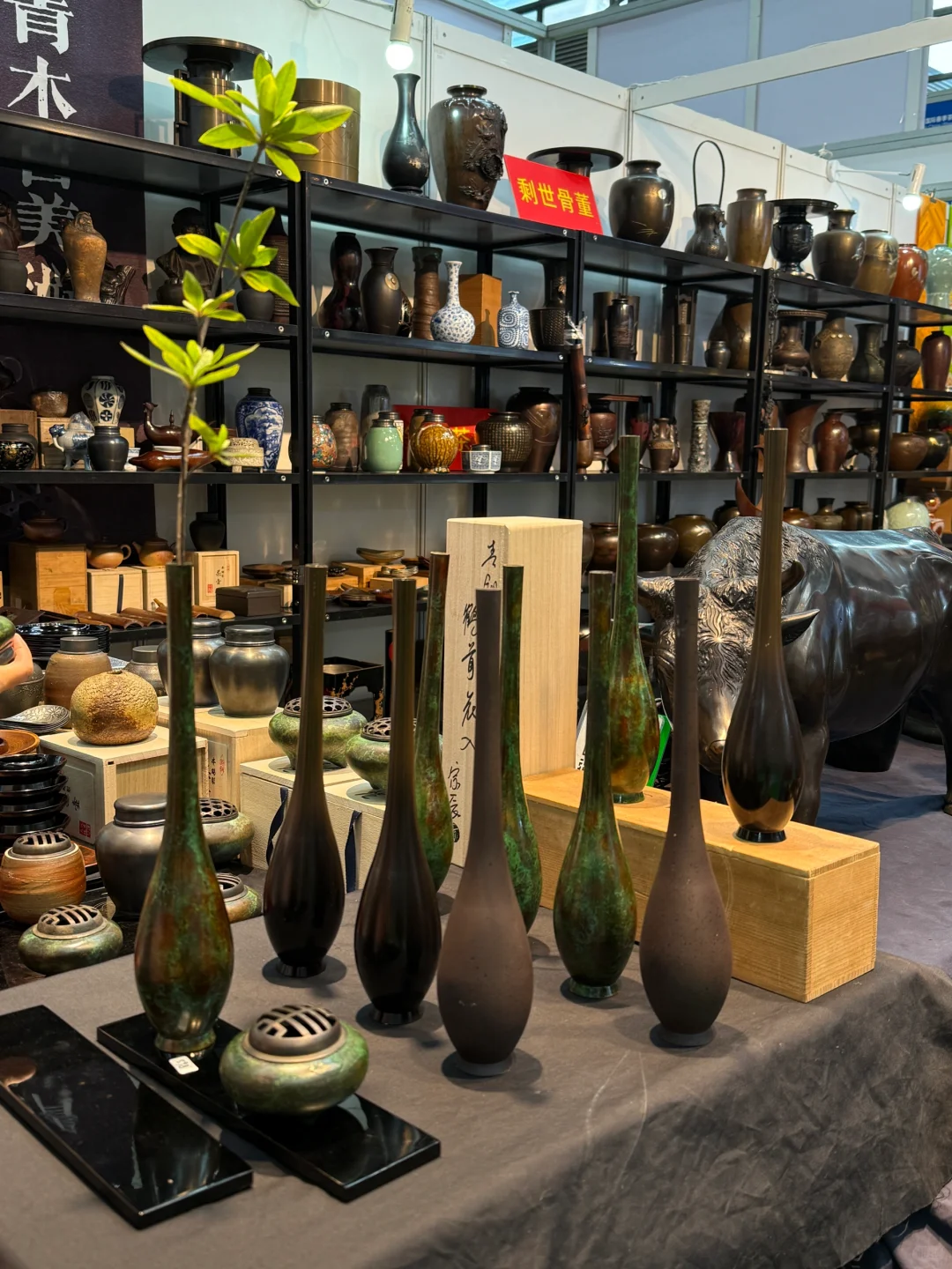 原来深圳茶博会不仅仅有茶！！！