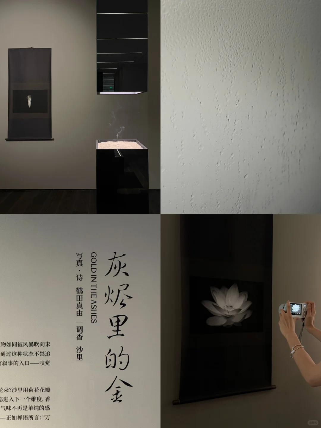 新展| 森冈书店×SIGMA