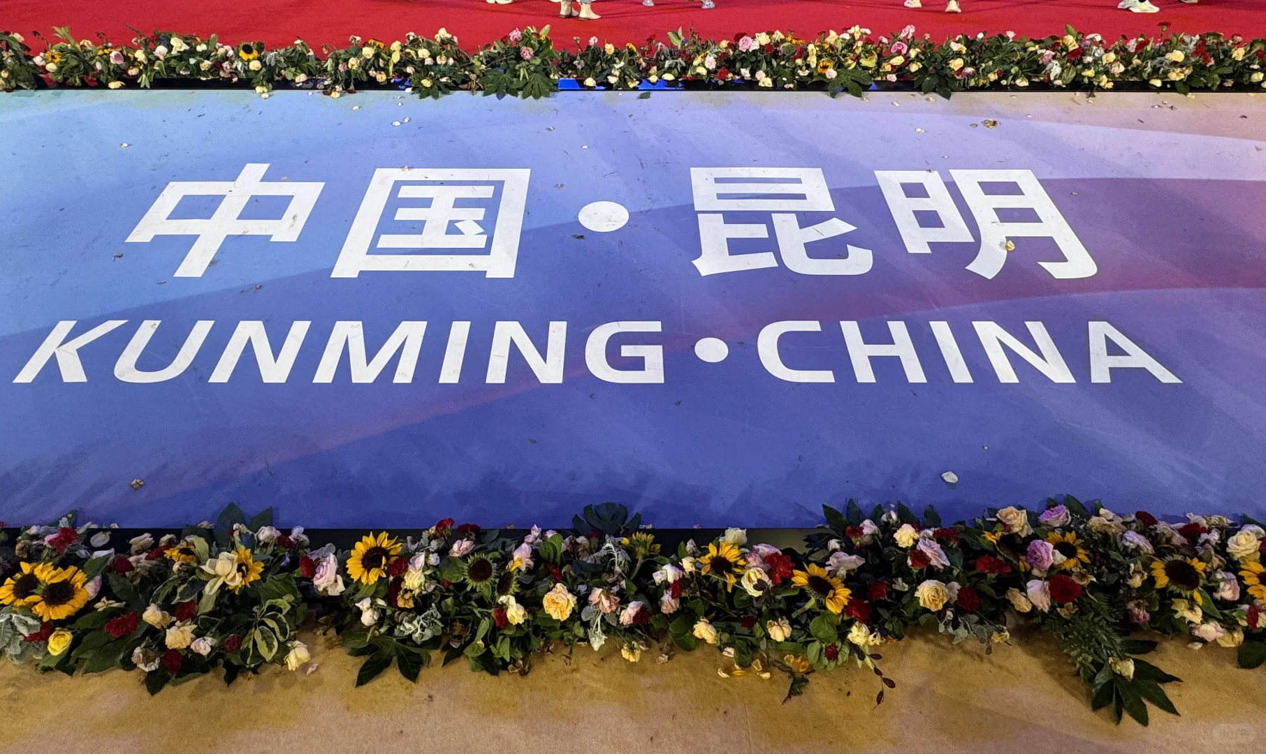 2025年 南亚博览会ing☀️