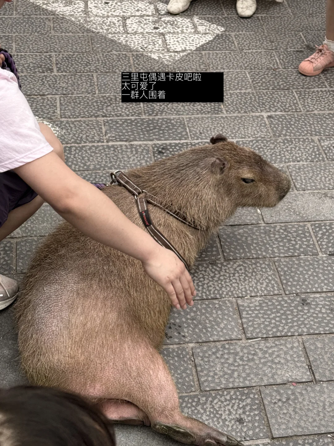 北京当代艺术博览会一日随拍plog：）