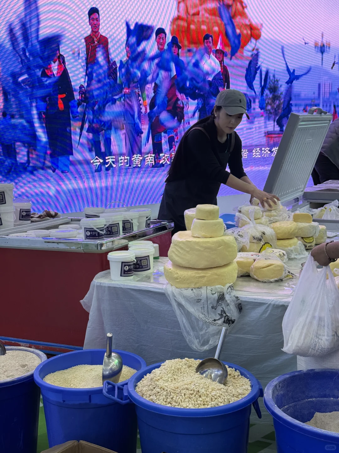 青洽会要怎么玩⁉️带你一站式浪完大西北?