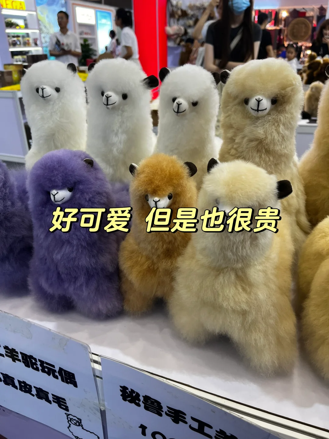 ??亚欧博览会-让我涨见识了