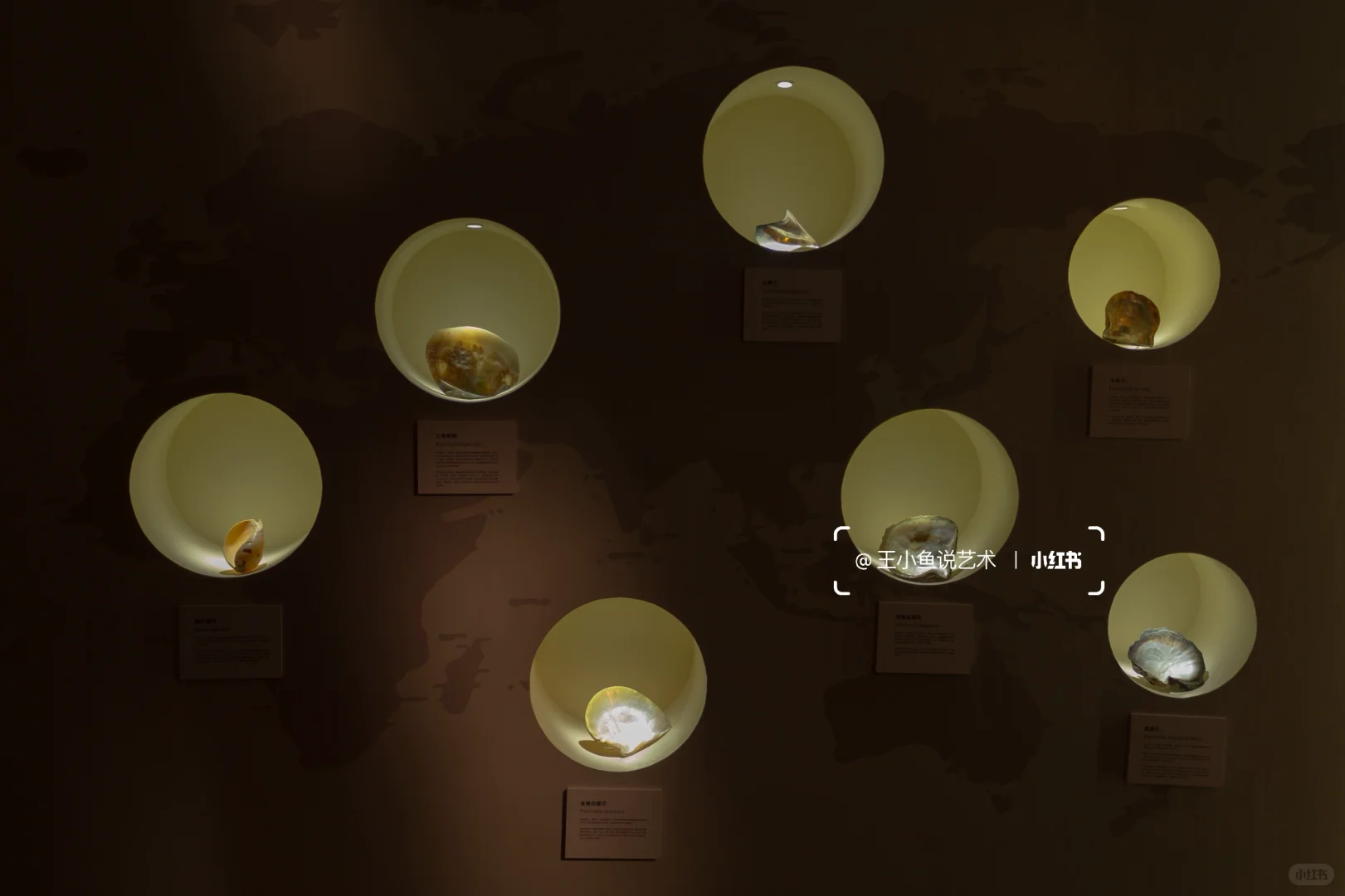 首次策展，我用一场珍珠展翻开了珠宝人生B面