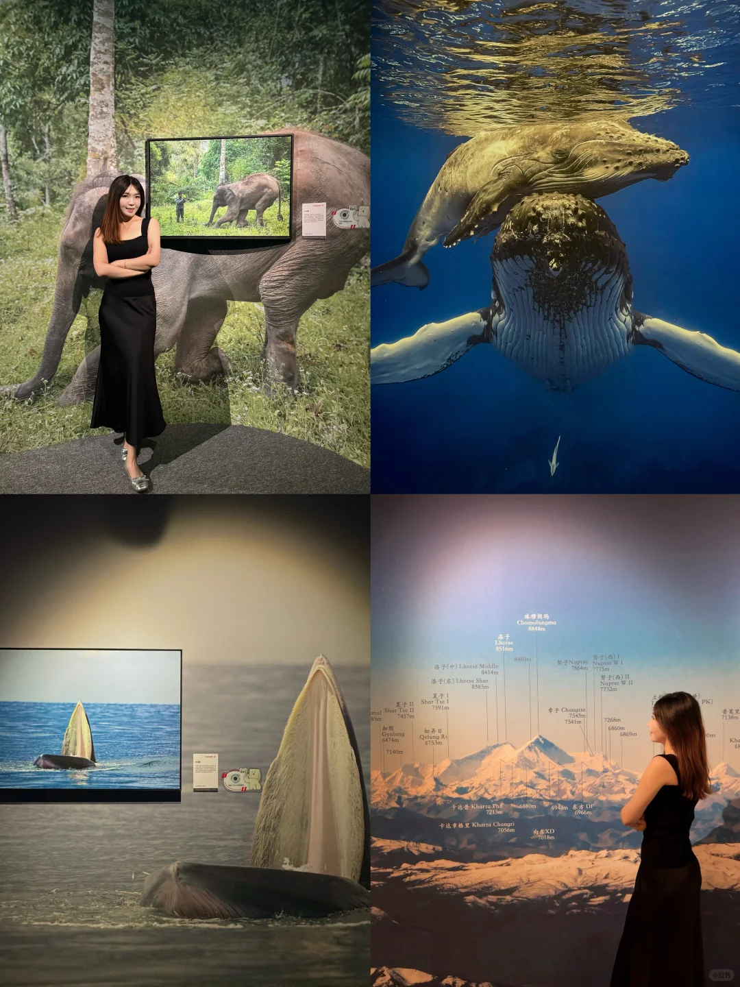 石家庄！很少用震撼形容一个展览……