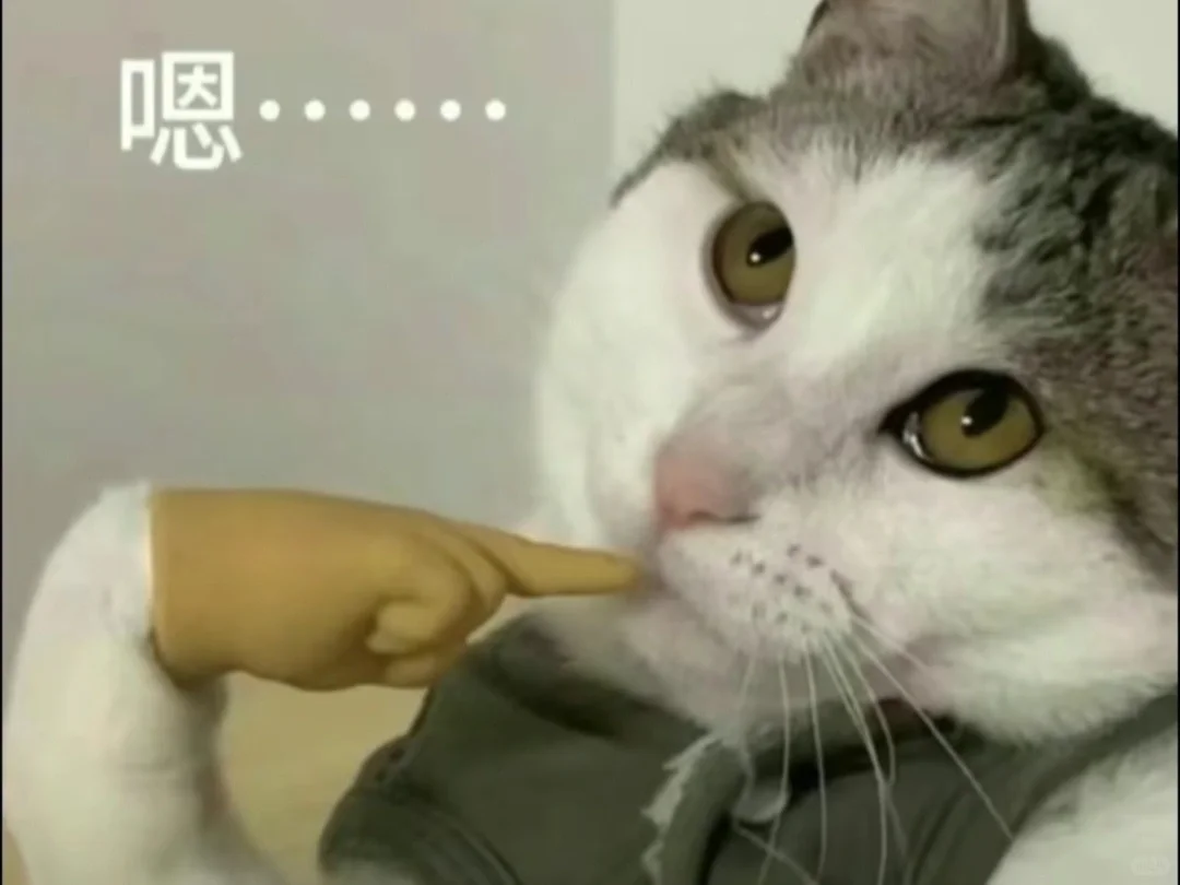 嗯...如果你追我的话