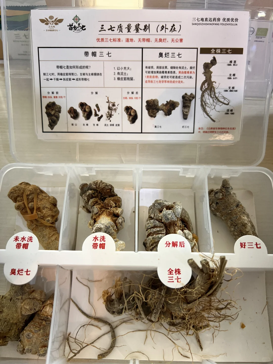 第9届南博会•中药材产业馆完美收官