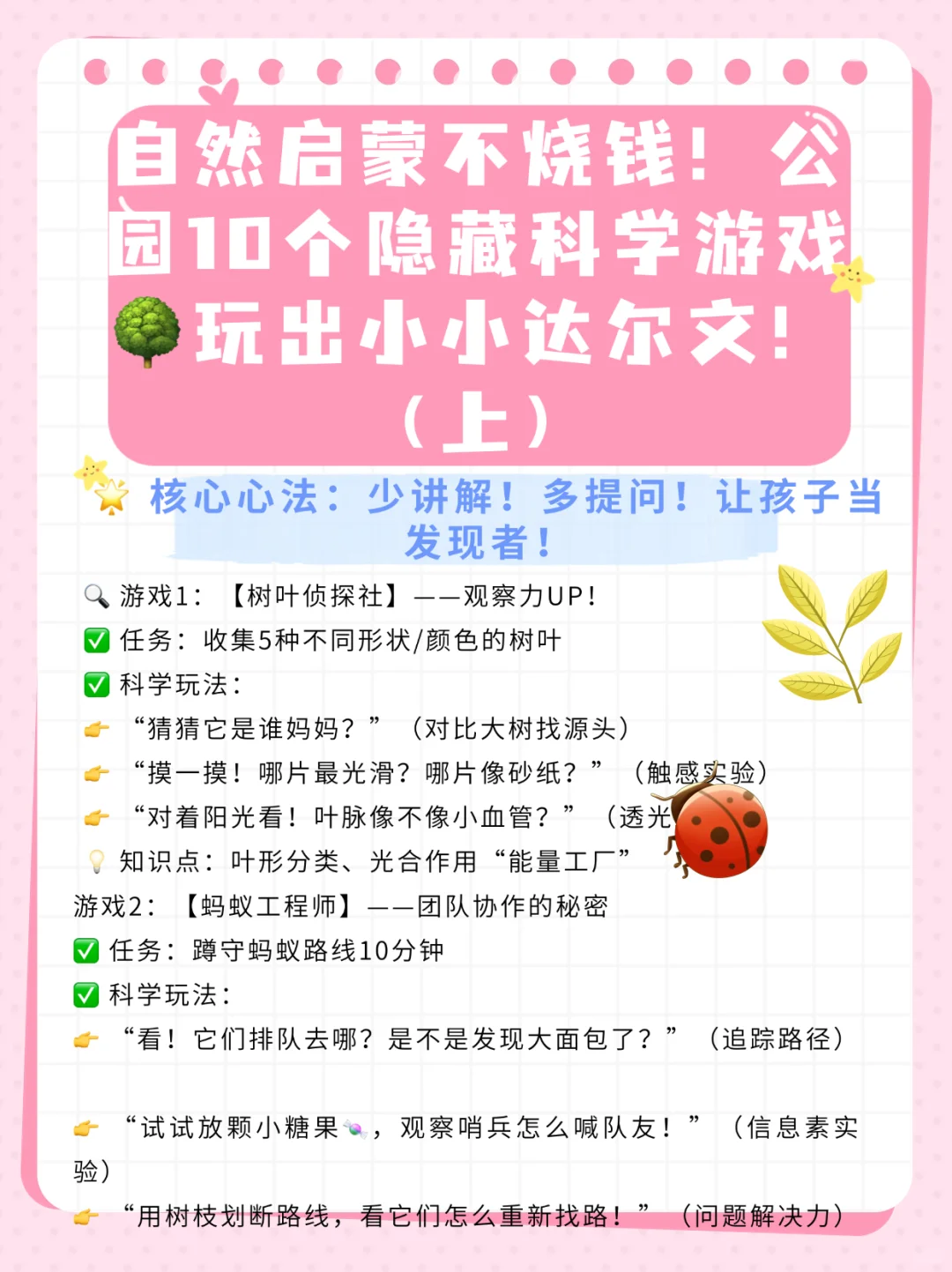 自然启蒙不烧钱！公园10个隐藏科学游戏（上）