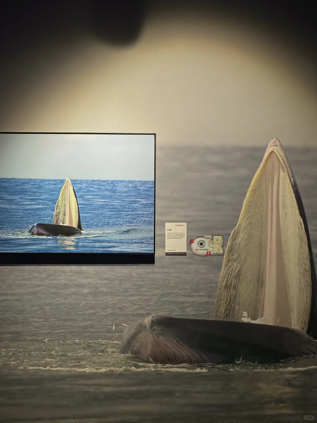 石家庄！很少用震撼形容一个展览……