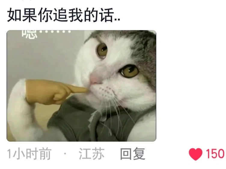 嗯...如果你追我的话