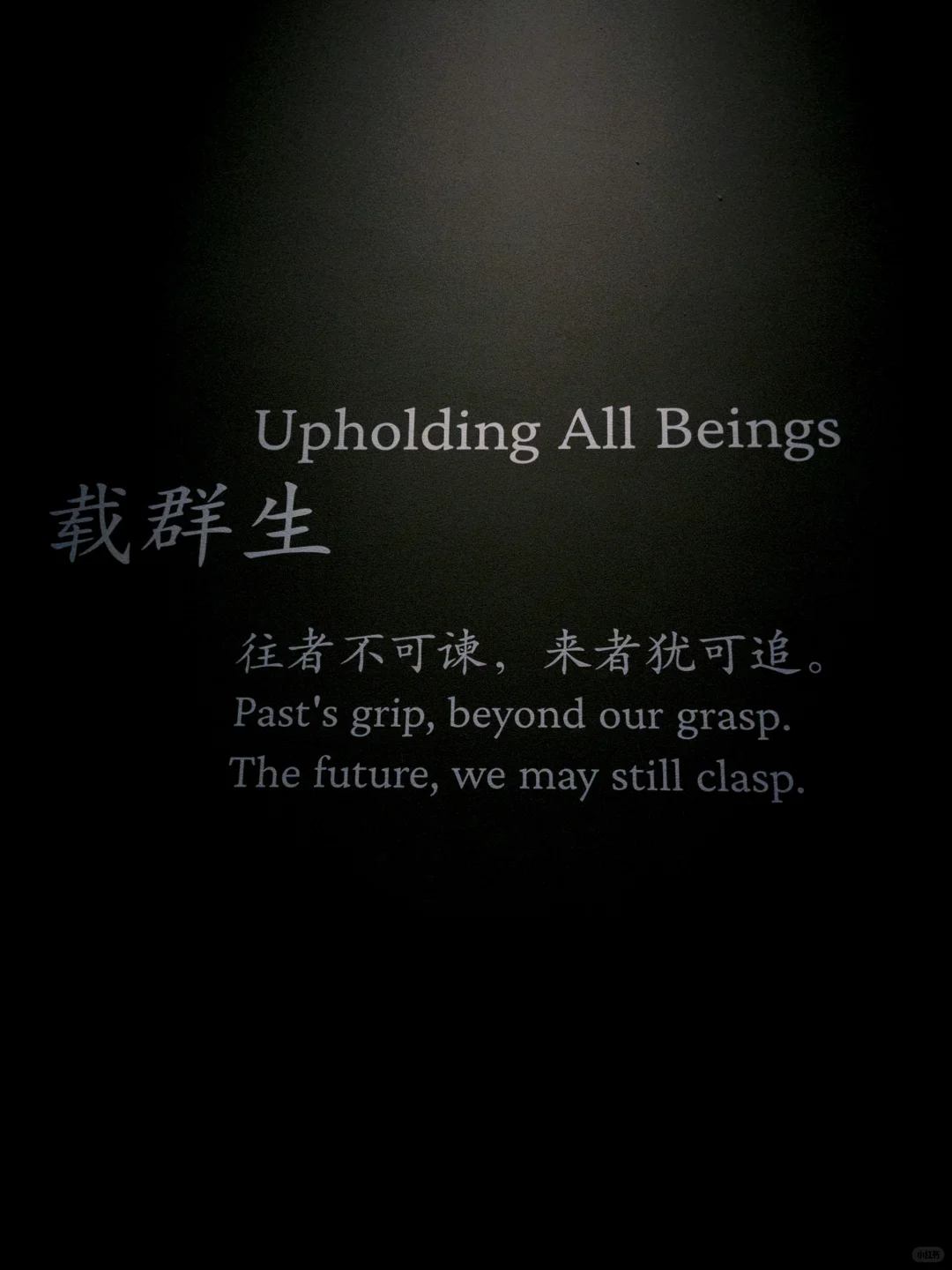 6.28|被黑神话悟空展的这张图震撼到了