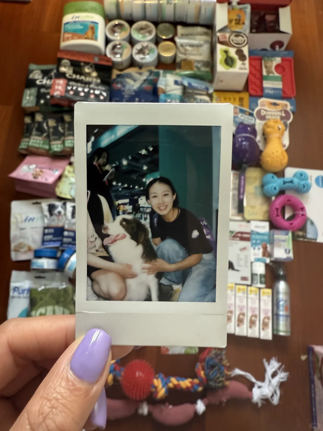 它博会｜打猎回来 附攻略