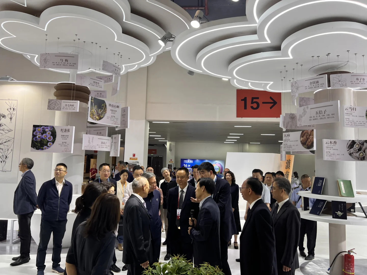 第9届南博会•中药材产业馆完美收官