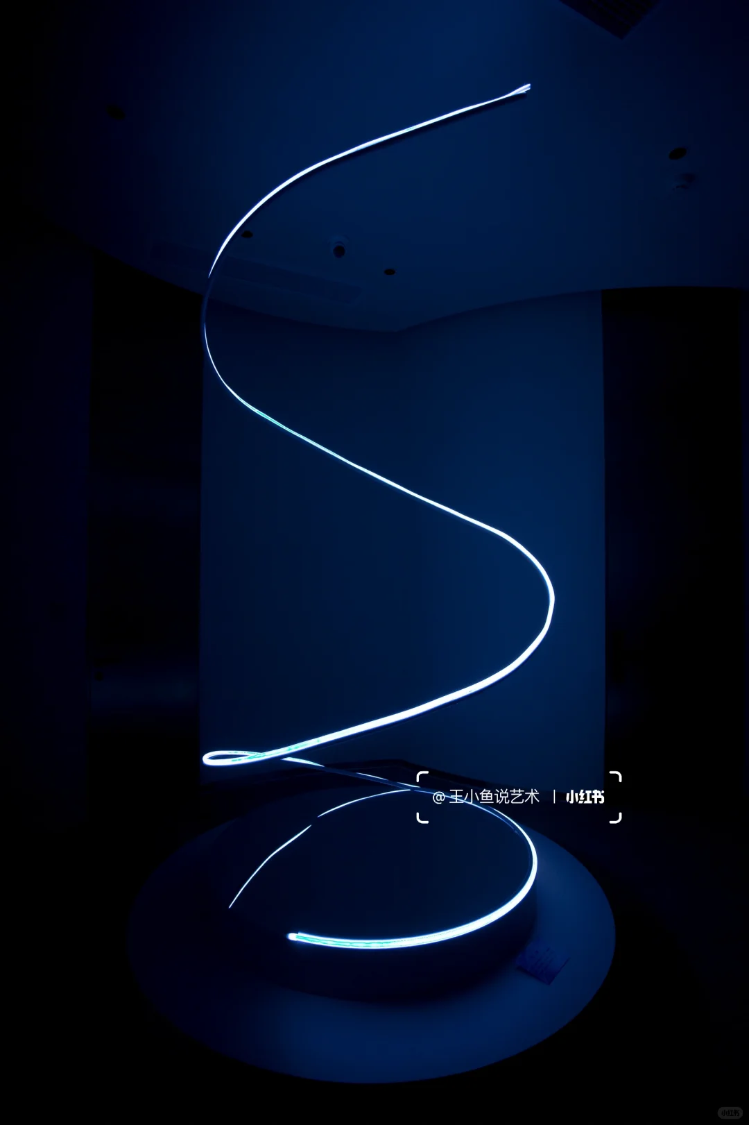 首次策展，我用一场珍珠展翻开了珠宝人生B面