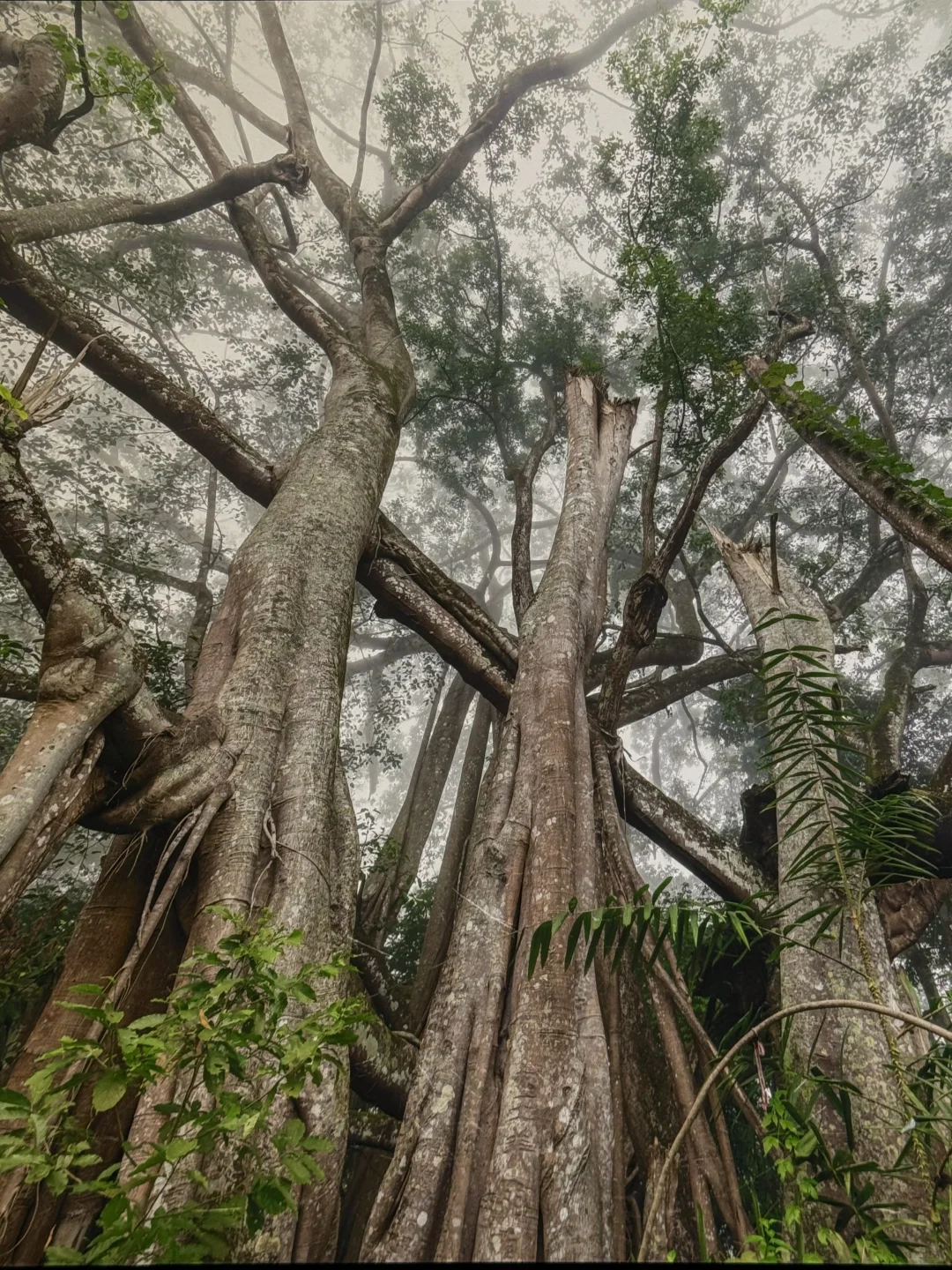 石家庄！很少用震撼形容一个展览……