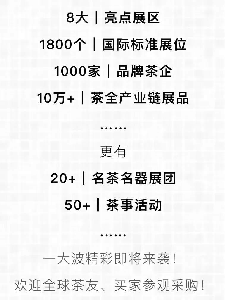 逛展攻略｜2025深圳春季茶博会