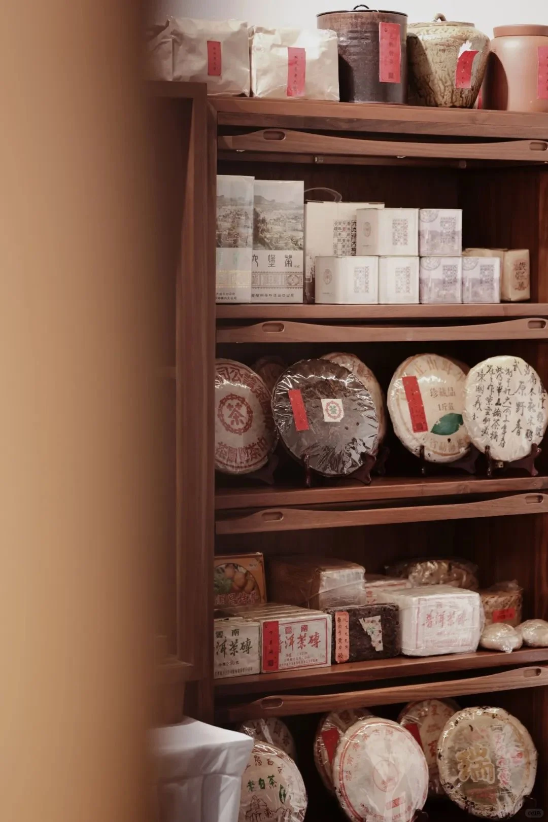 逛展攻略｜2025深圳春季茶博会