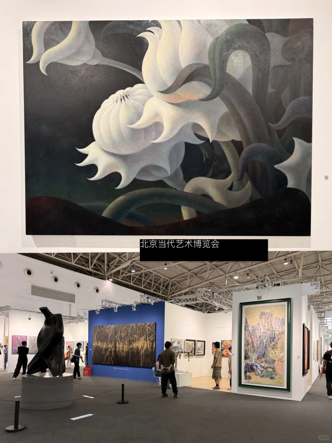 北京当代艺术博览会一日随拍plog：）