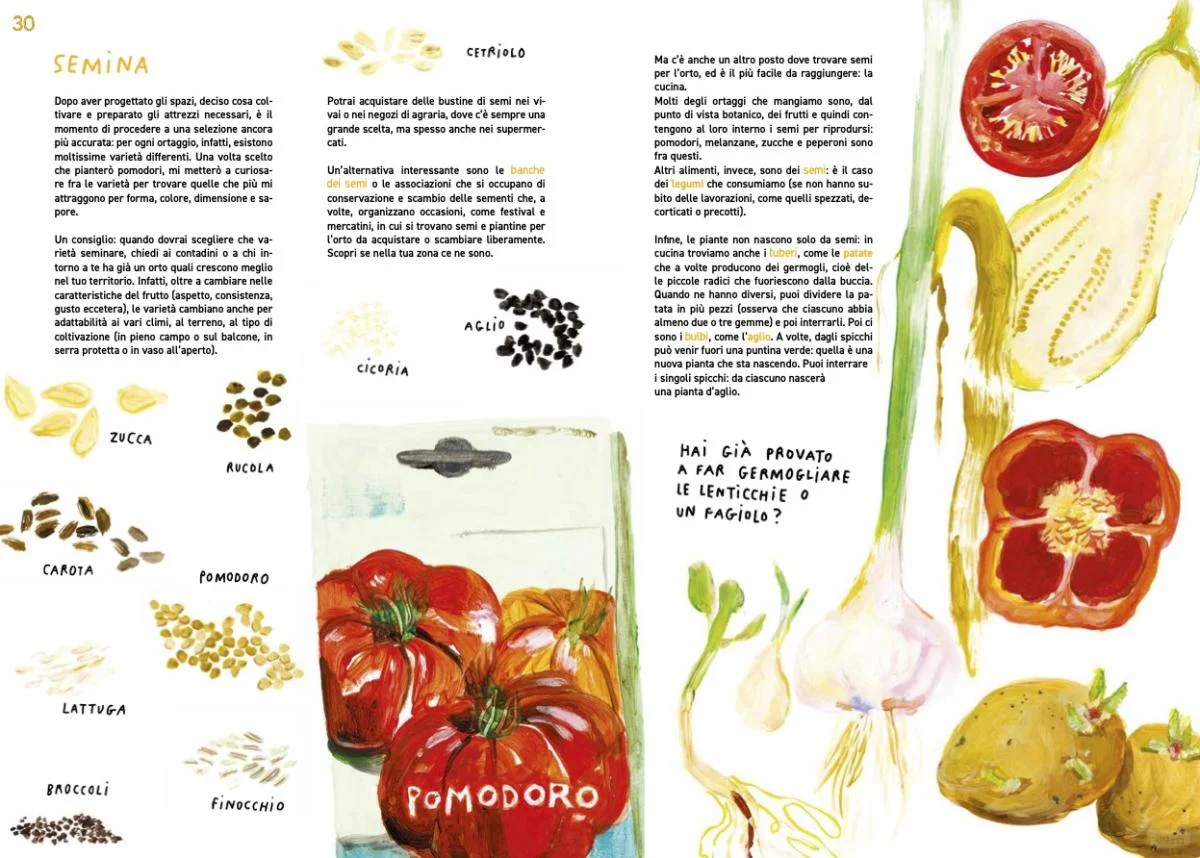 意大利绘本 Zappe, stivali e rastrelli?️