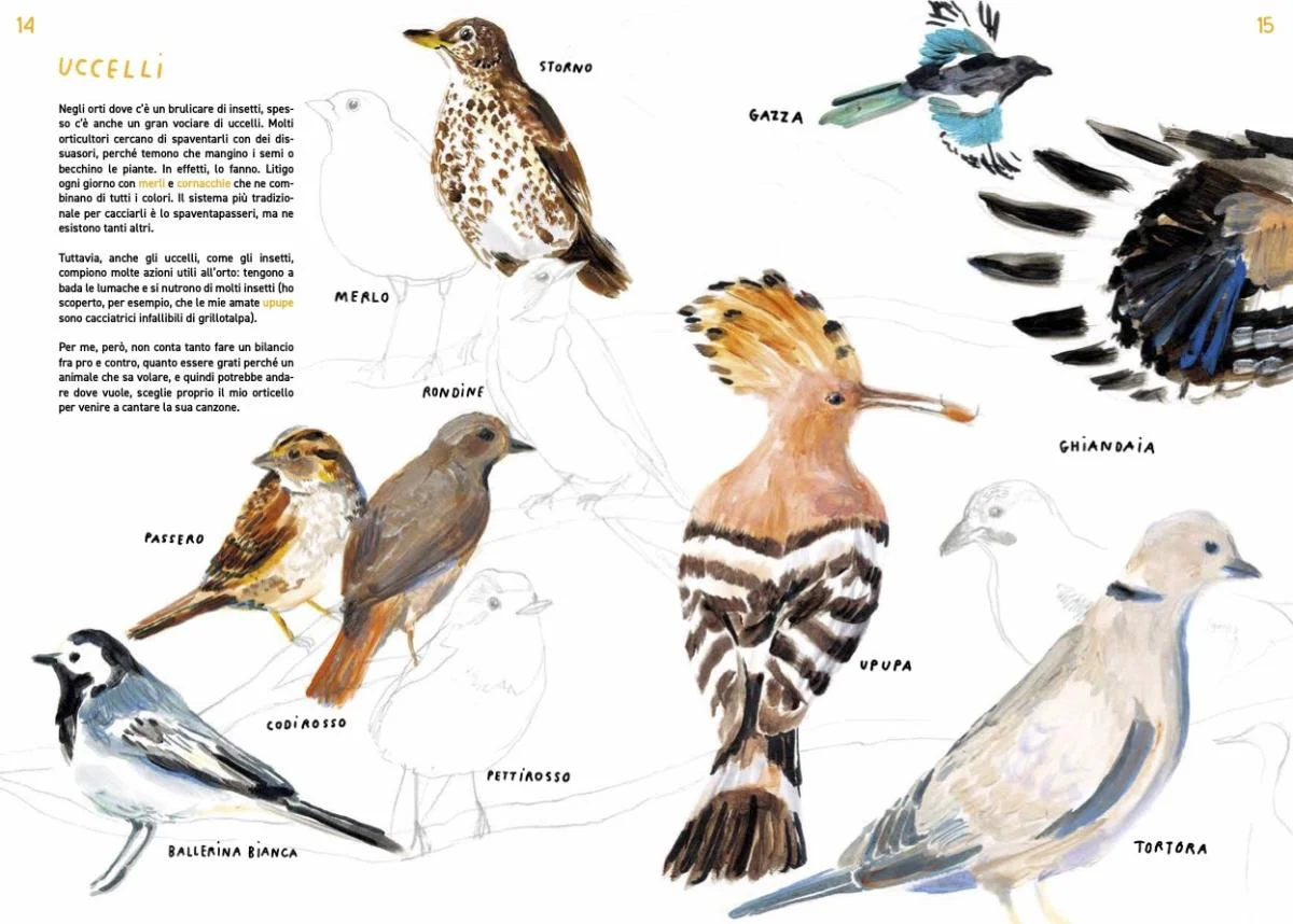 意大利绘本 Zappe, stivali e rastrelli?️