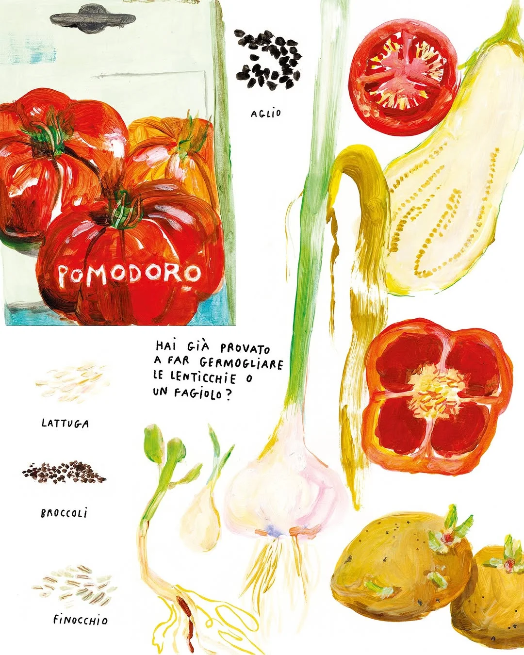 意大利绘本 Zappe, stivali e rastrelli?️