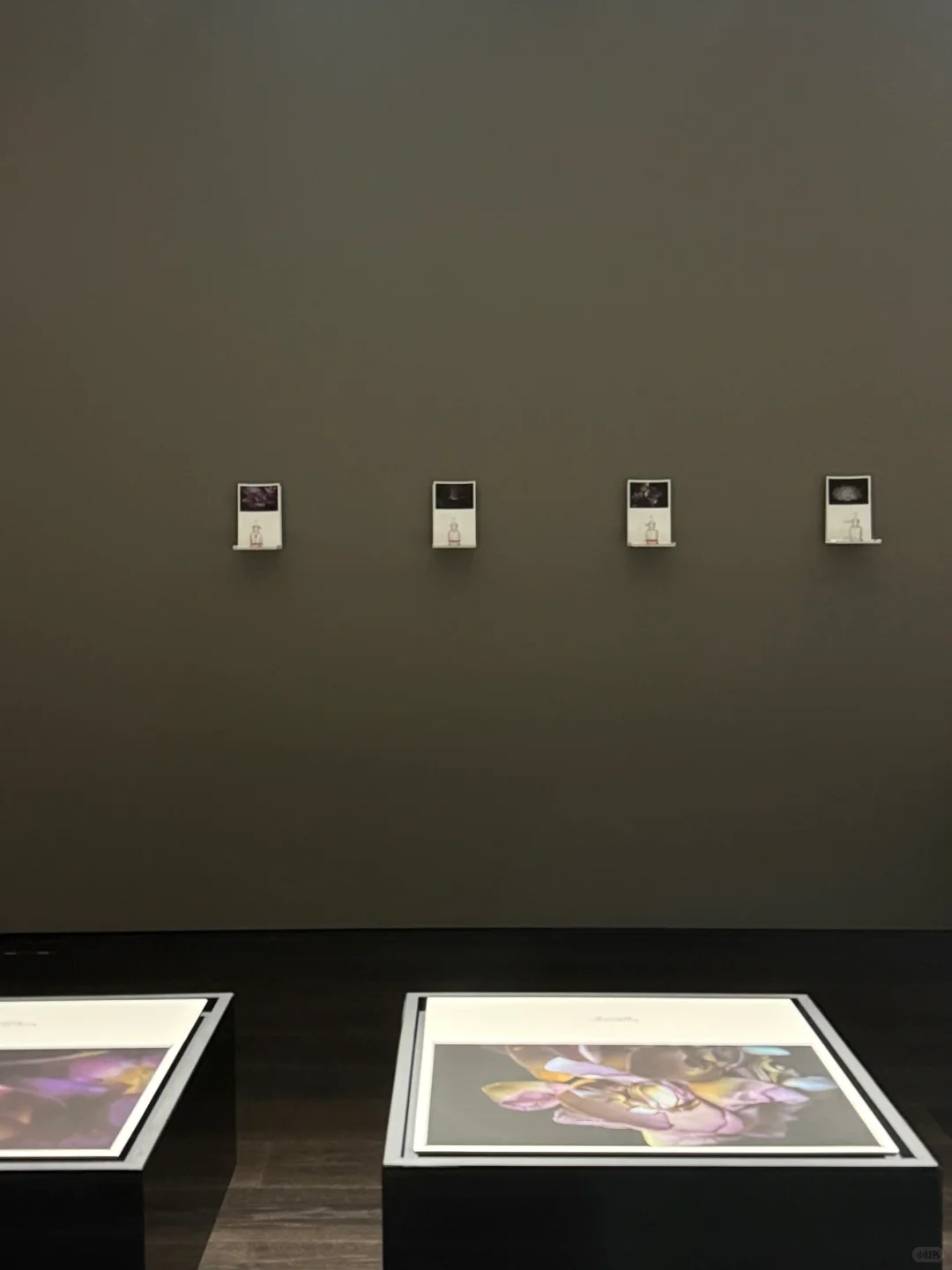 新展| 森冈书店×SIGMA