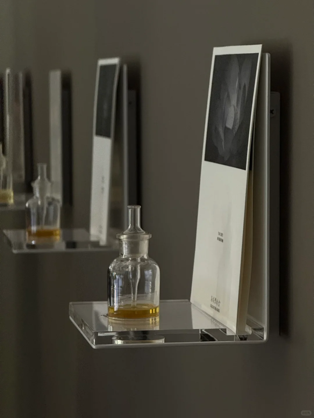 新展| 森冈书店×SIGMA