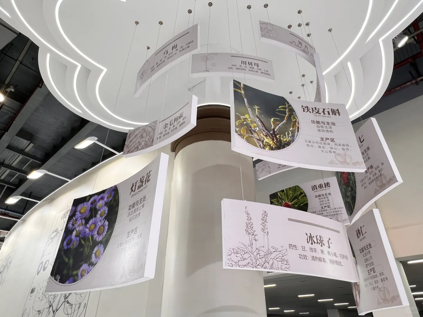 第9届南博会•中药材产业馆完美收官