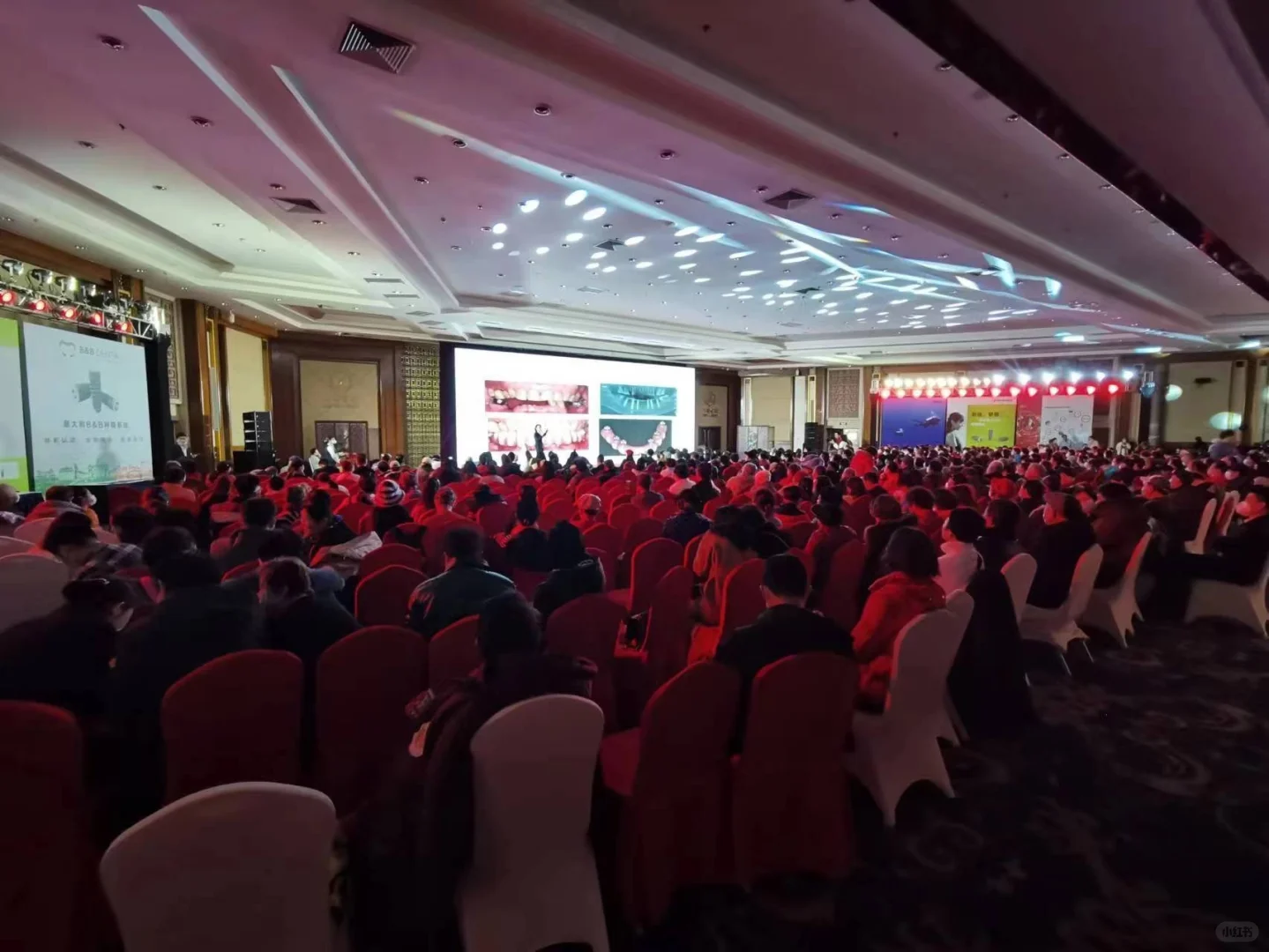 礼仪模特公司-展会志愿者-派发传单-活