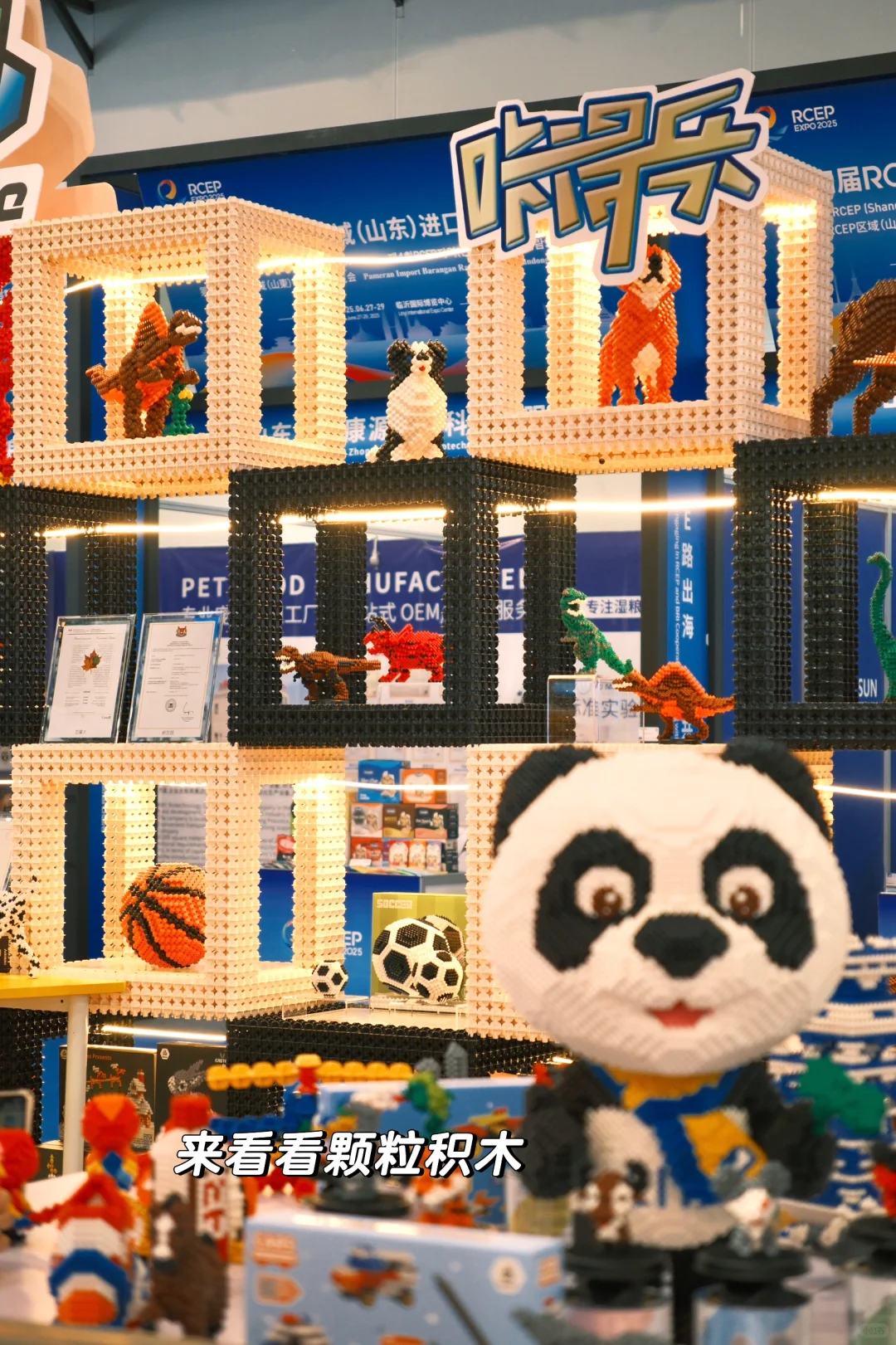 临沂进博会第一天?来国际大集免费逛吃