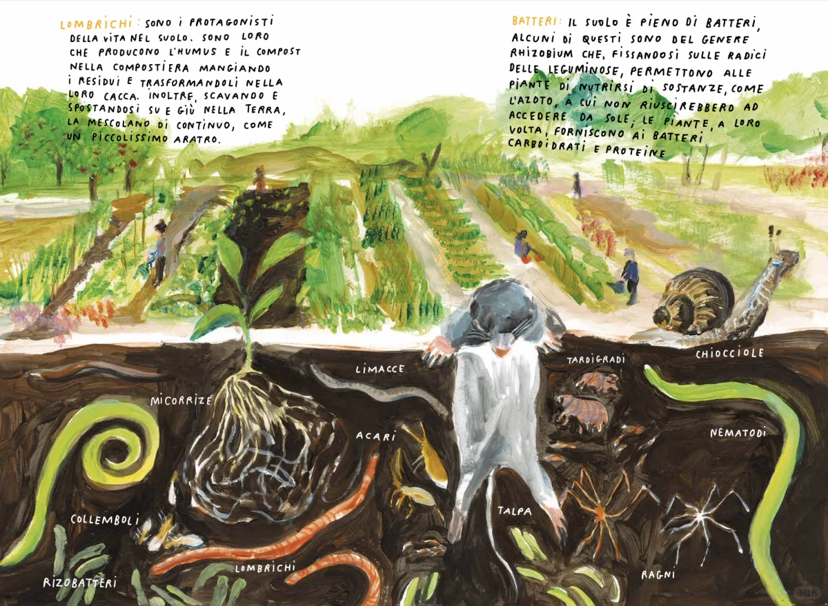 意大利绘本 Zappe, stivali e rastrelli?️