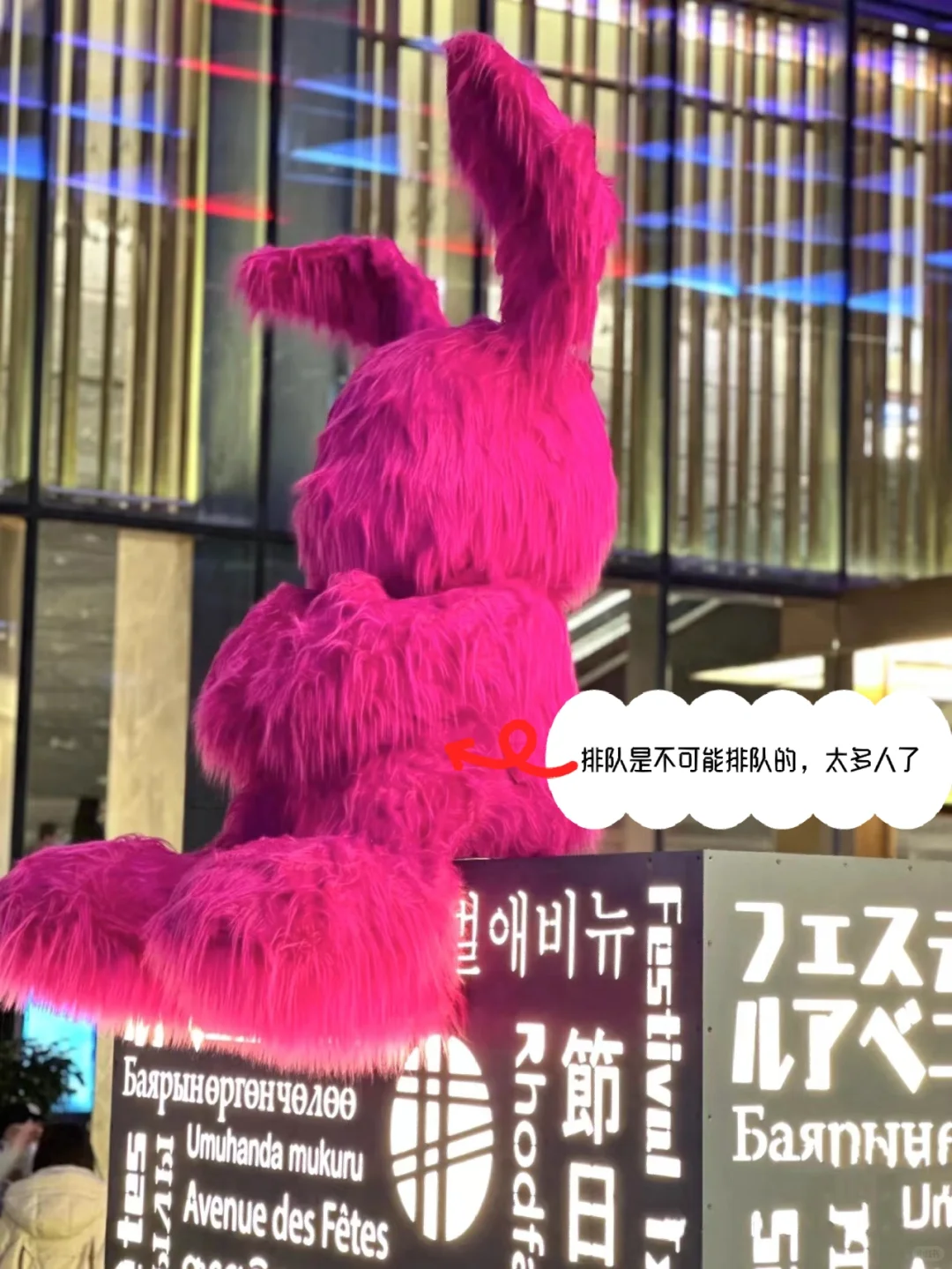 谁会来这里拍照