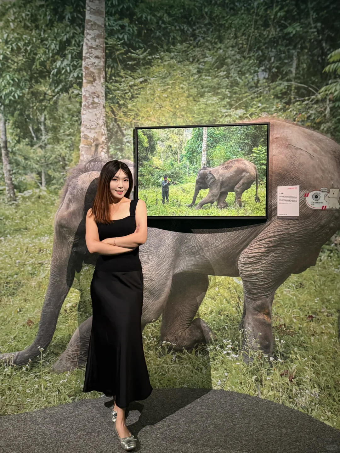 石家庄！很少用震撼形容一个展览……