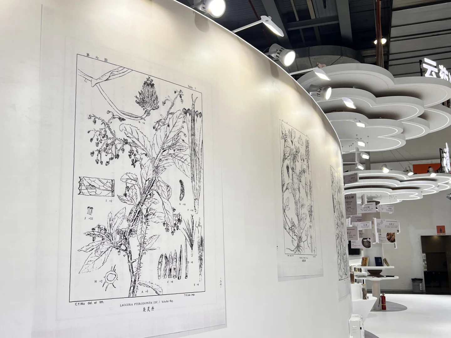 第9届南博会•中药材产业馆完美收官