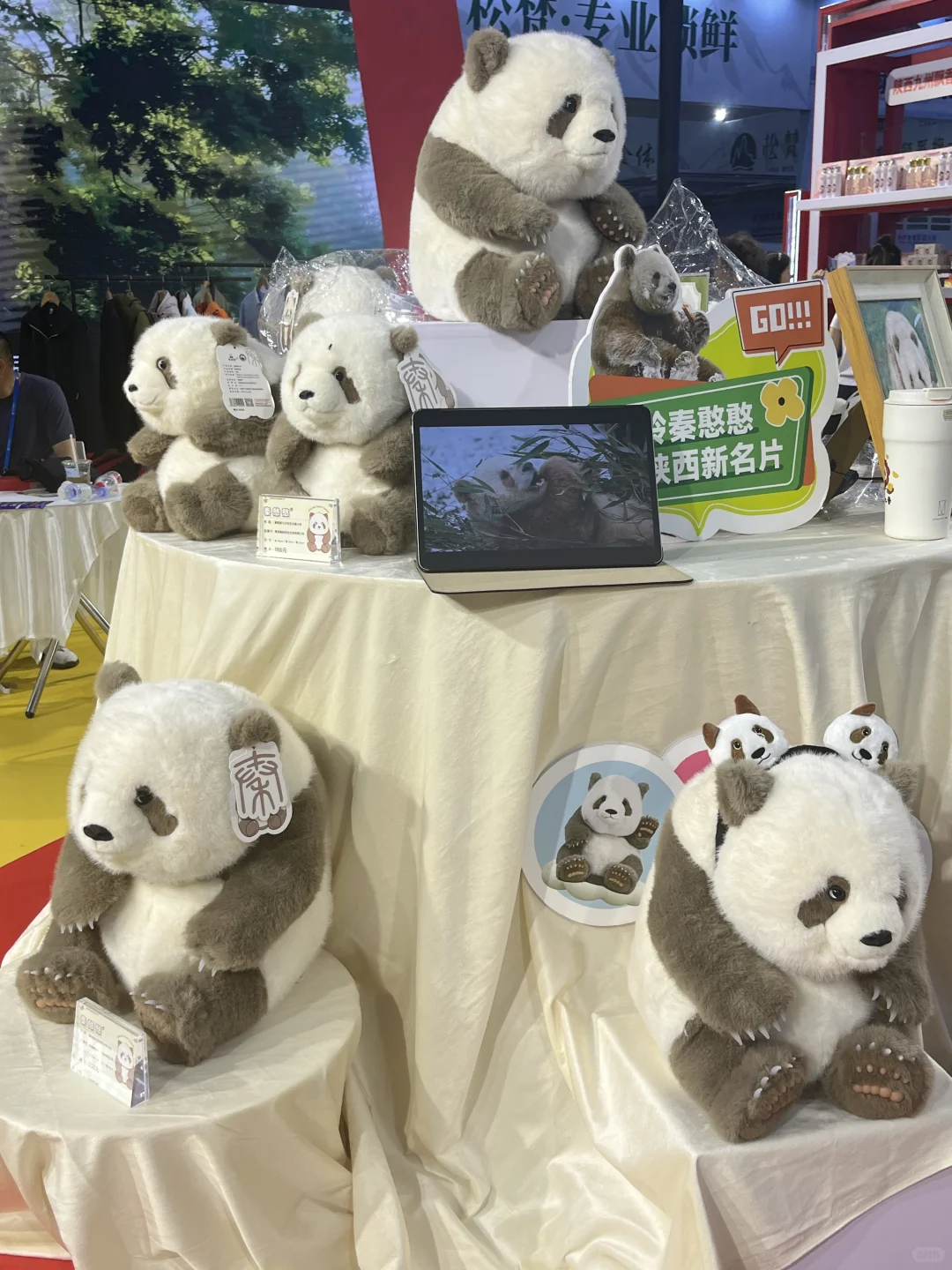 2025中国亚欧博览会❤️耕耘美丽中国