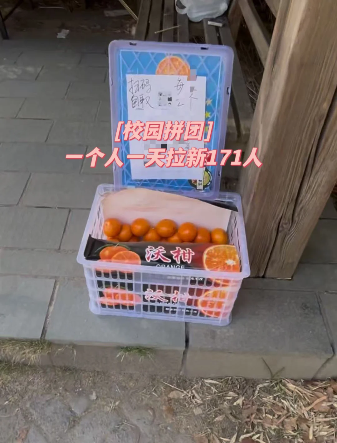 一个人在魔都做校园拼团群之地推拉新