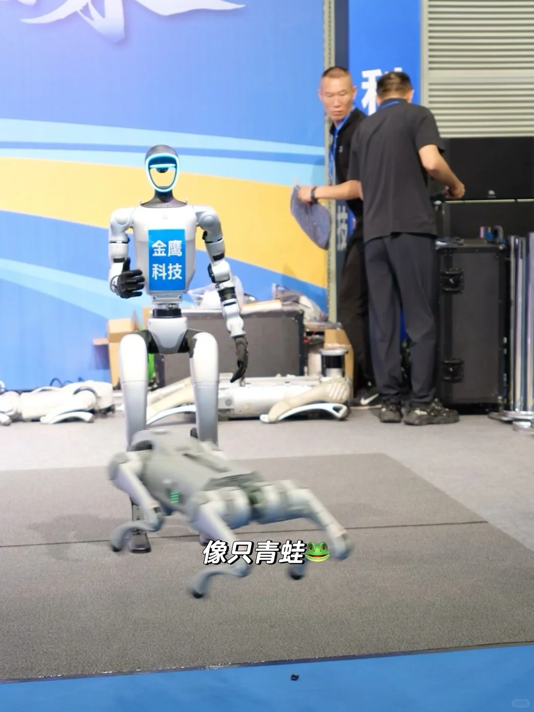 临沂进博会第一天?来国际大集免费逛吃