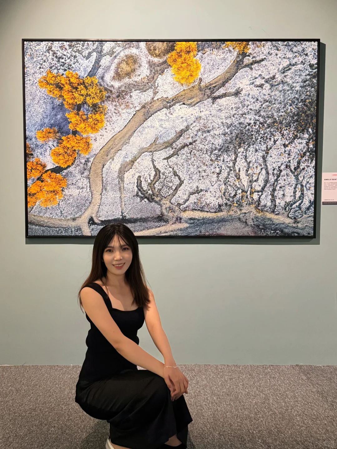 石家庄！很少用震撼形容一个展览……