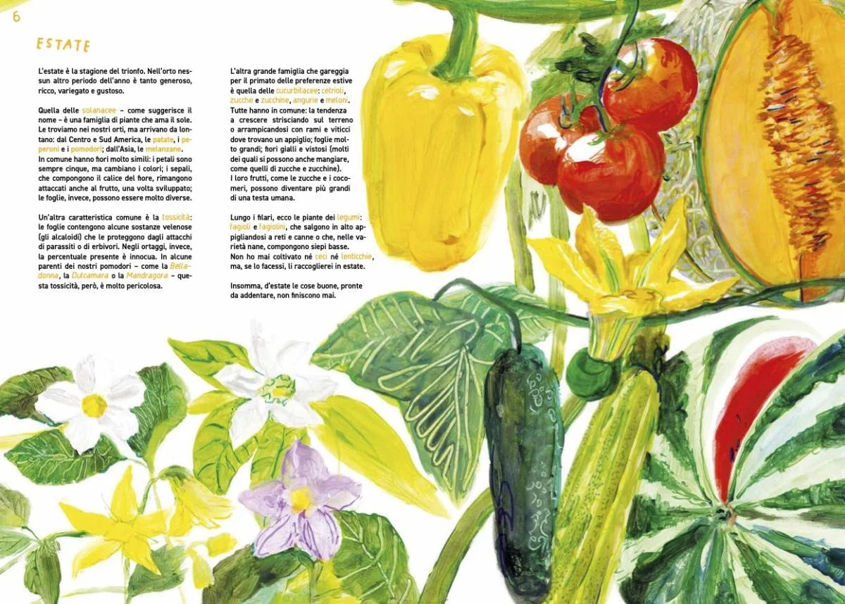 意大利绘本 Zappe, stivali e rastrelli?️