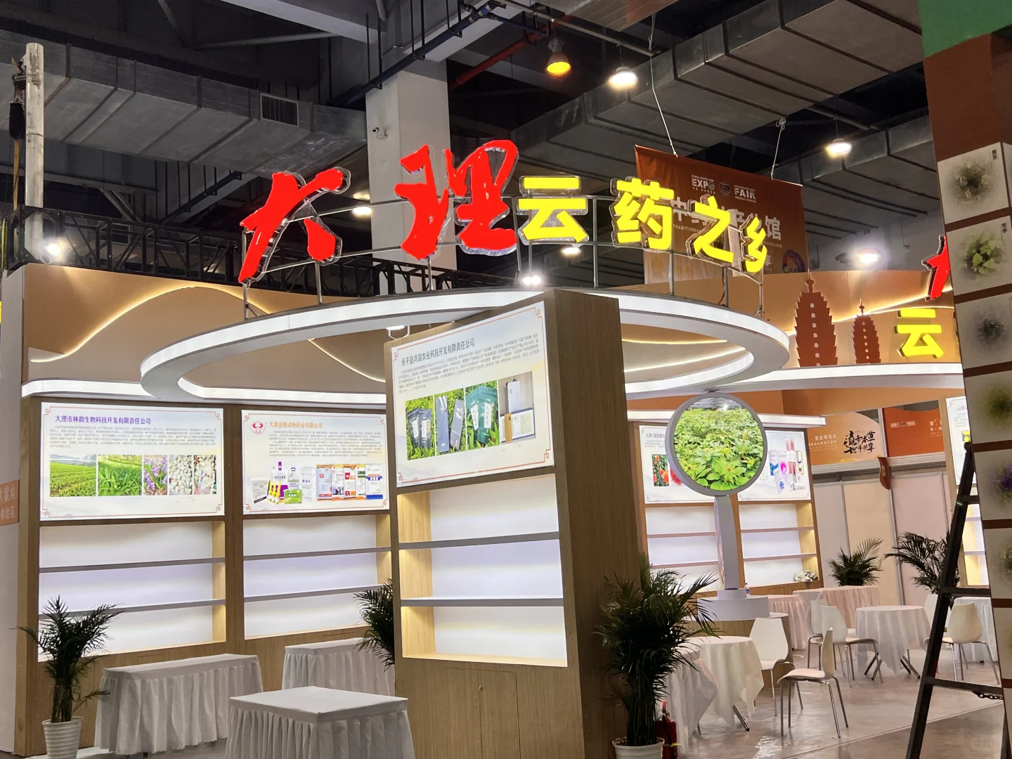 第9届南博会•中药材产业馆完美收官