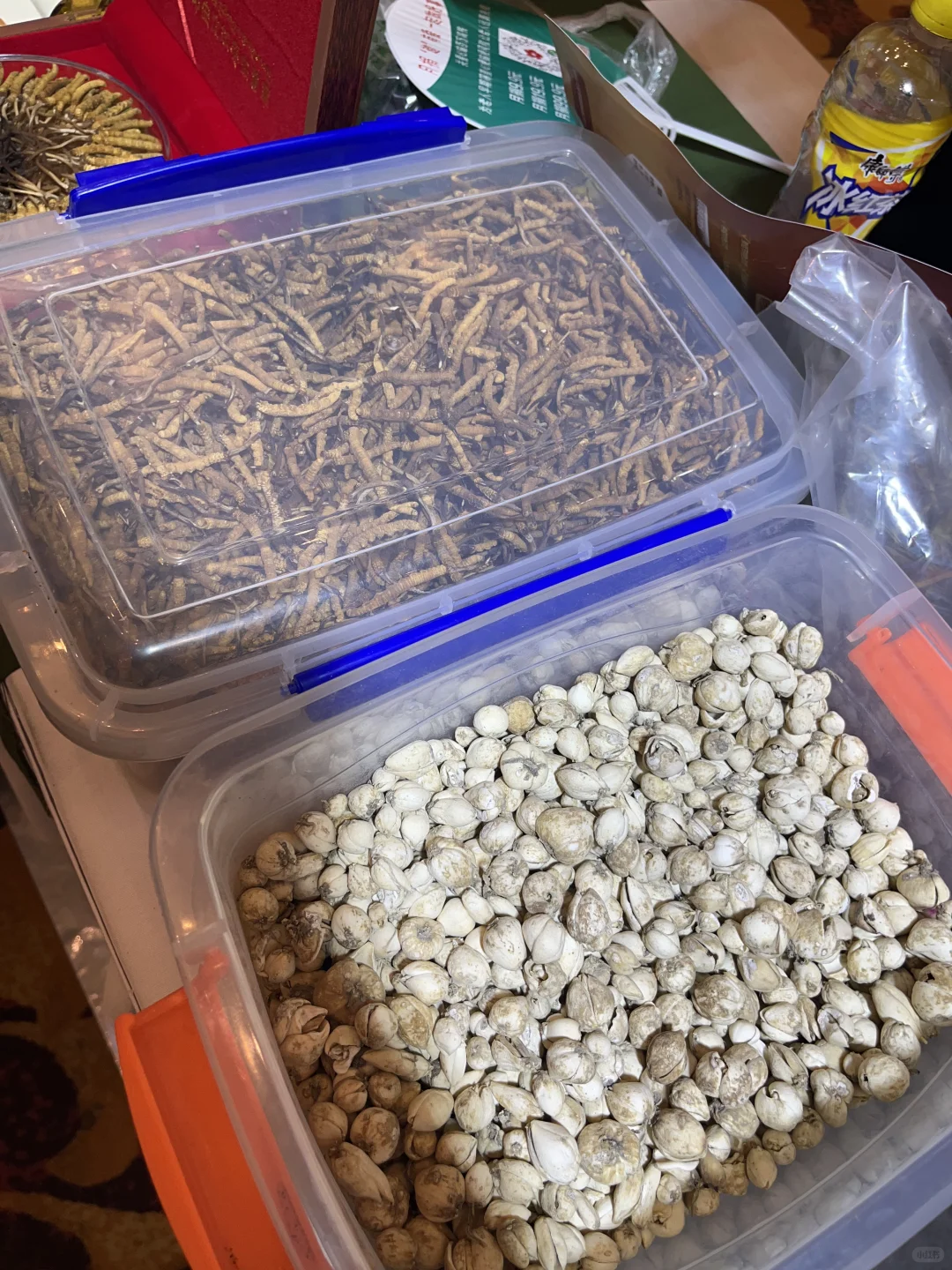 2025北京健康消费博览会都有些啥？