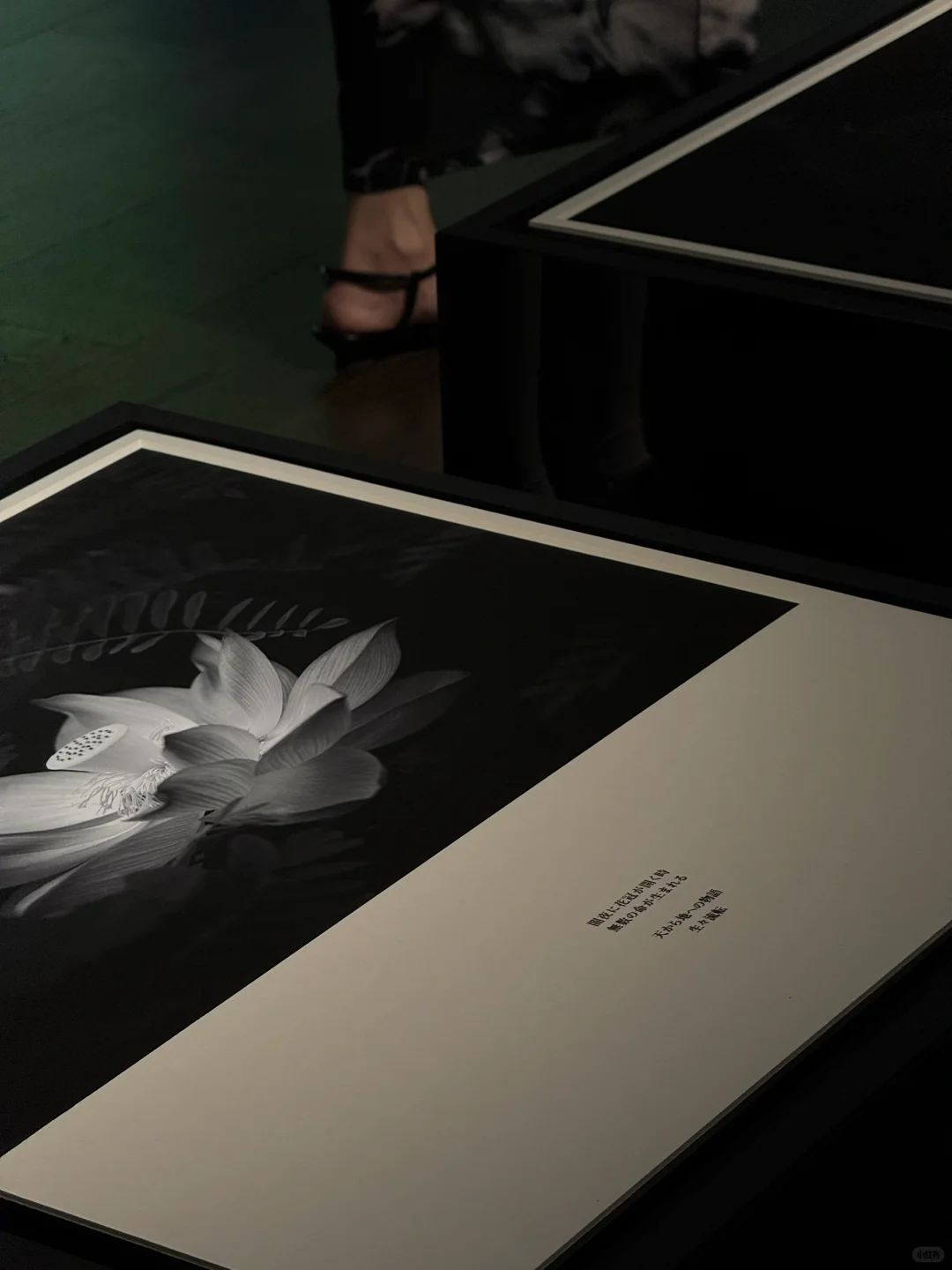 新展| 森冈书店×SIGMA