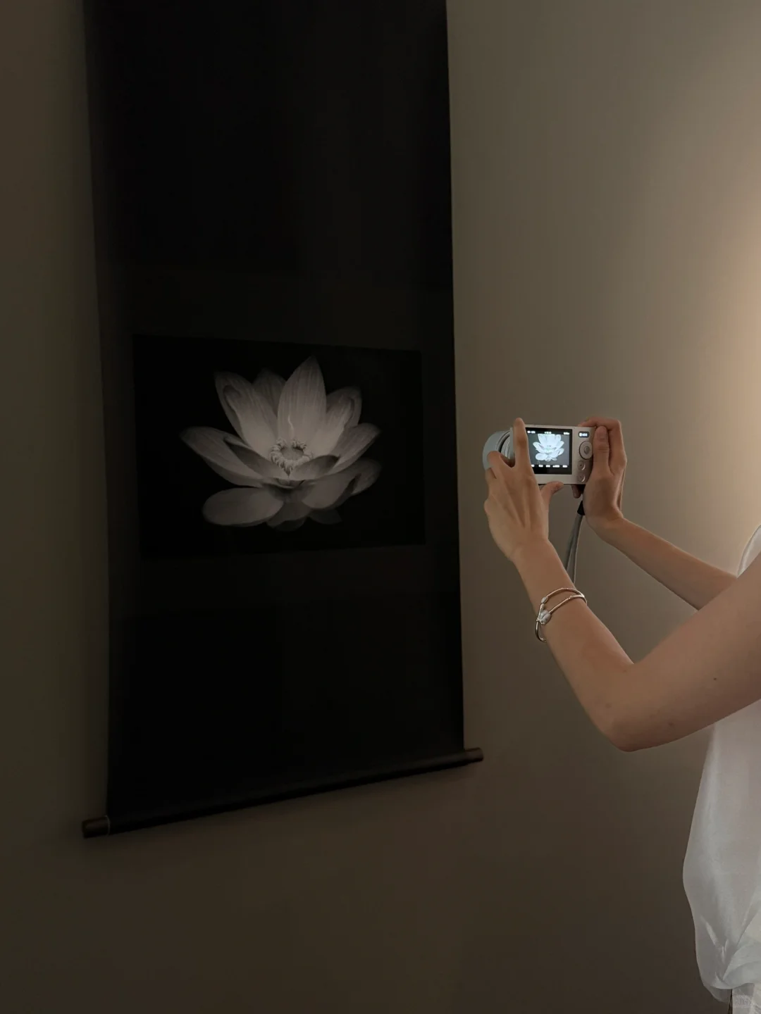 新展| 森冈书店×SIGMA